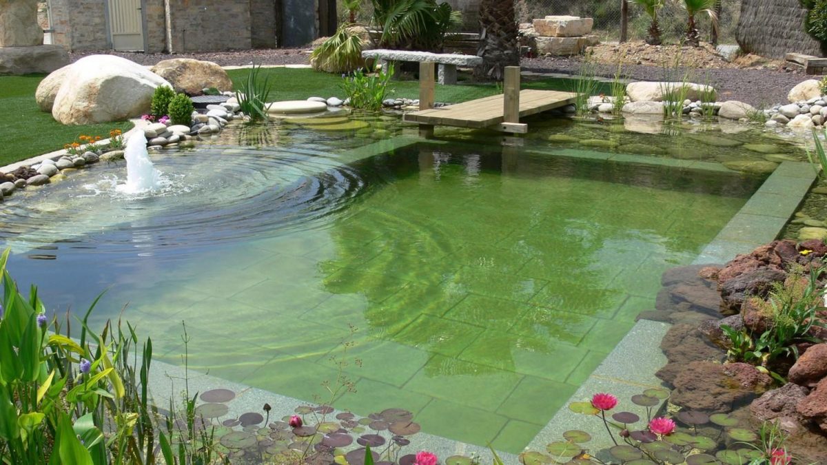 piscina ecológica